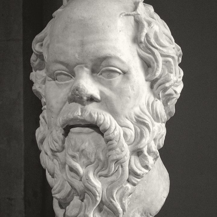 Bust of Socrates, ink duotone